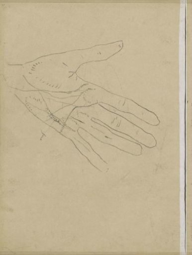 Hand with spread fingers