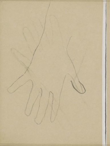 Hand with Spread Fingers