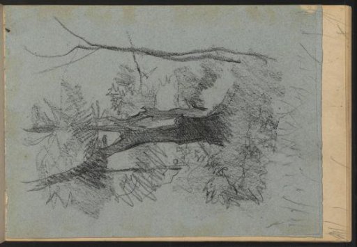 Landscape with trees