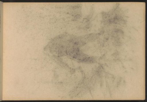 Rubbing of the chalk drawing on page 26