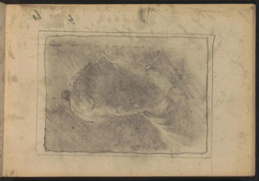 Portrait of an unknown woman