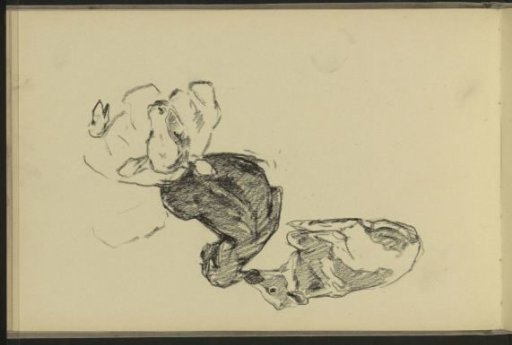 Three lying cows