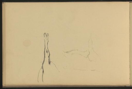 Two Studies of a Cow