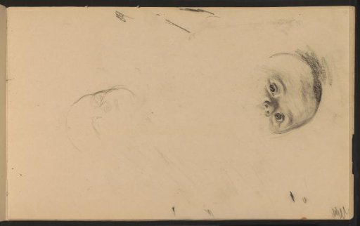 Two Studies of a Baby's Head