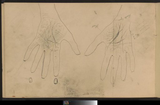Hands and Nails