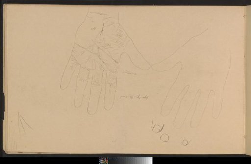 Hands and Nails