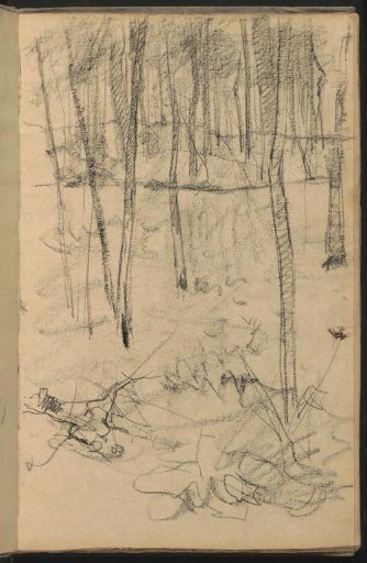 Wooded landscape