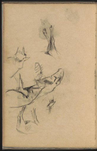 Study Sheet with Horses