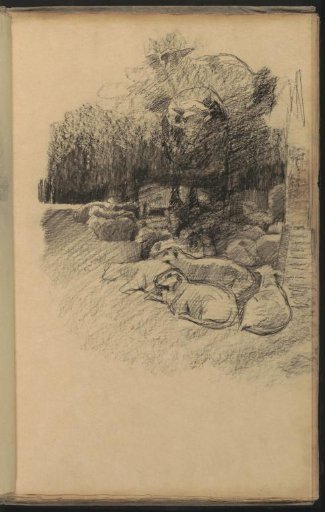 Sheep, partly in a landscape