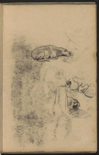 Study sheet with sheep