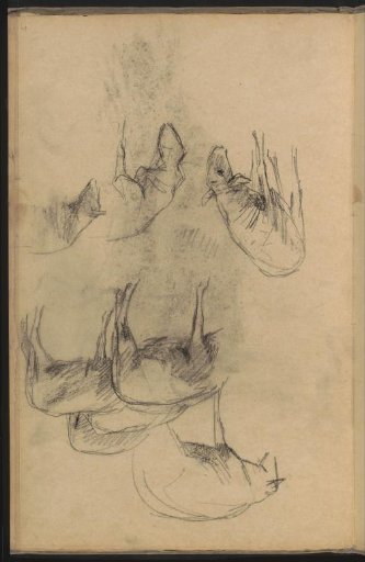 Study sheet with sheep