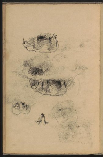 Study Sheet with Sheep
