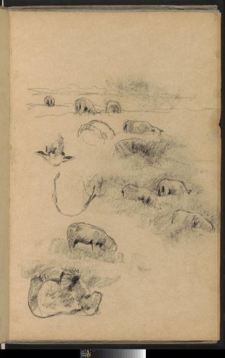 Study Sheet with Sheep, Partially in a Landscape