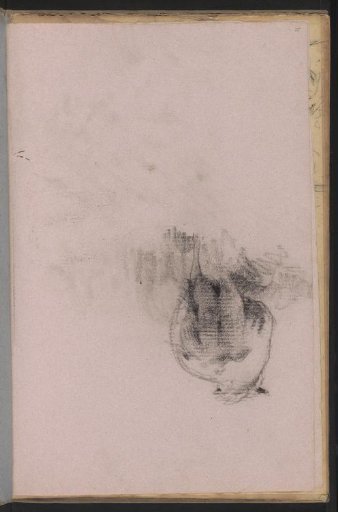 Sheep, seen from behind