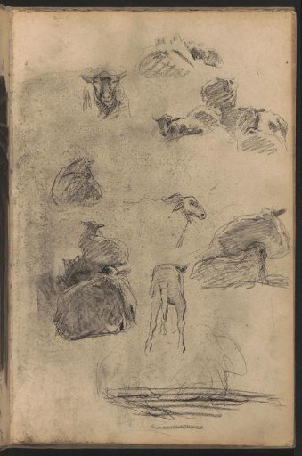 Study sheet with sheep and a landscape
