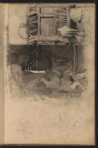 Sheepfold with sheep