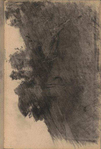 Trees on a slope, possibly a sand dune