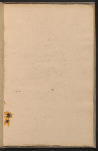 Rubbing of a Drawing
