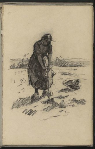 Woman digging