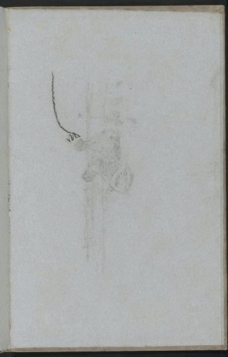 Study