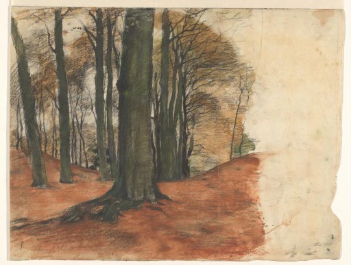 Forest view with heavy trees