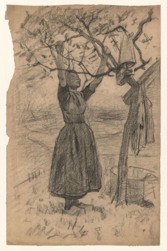 Woman hanging laundry in a tree, to the right