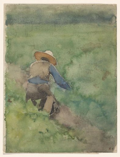 Mower in a Meadow