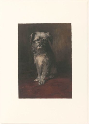 The dog Phoebus