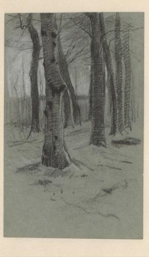 Group of Trees