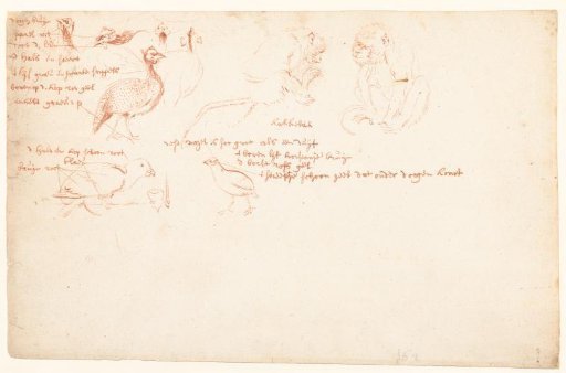 Study of two monkeys and a number of guineafowl