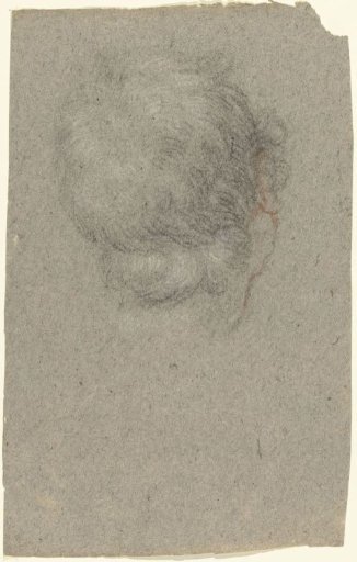 Head of a man, seen from behind