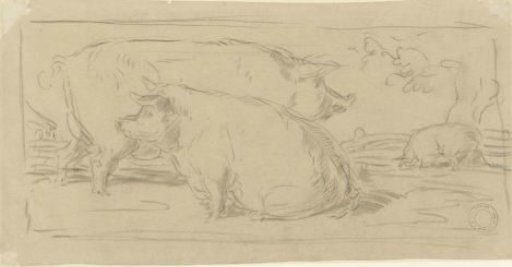 Three pigs