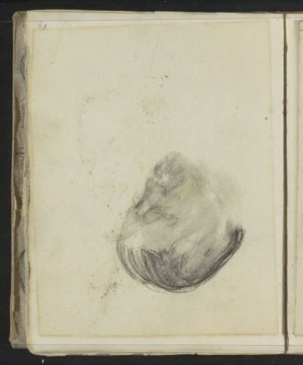 Portrait of an Unknown Man