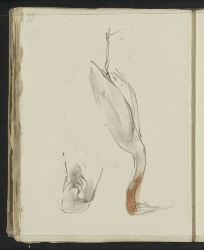 Bird, Possibly a Heron