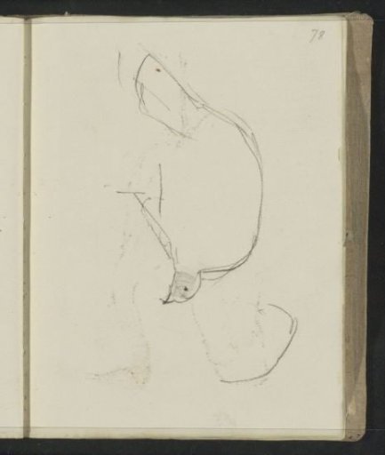 Bird, Possibly a Guinea Fowl