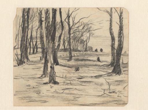 Trees in a winter landscape