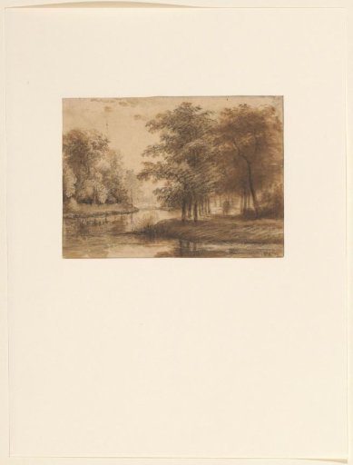 View of a forest with water at Haarlem