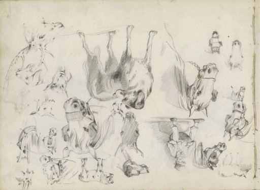 Study Sheet with Dogs, Horses, Goats, and a Deer