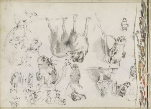 Studies