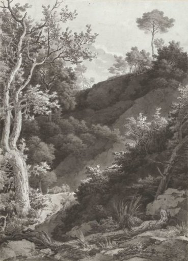 Wooded hillside