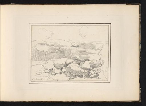 Stones with vegetation