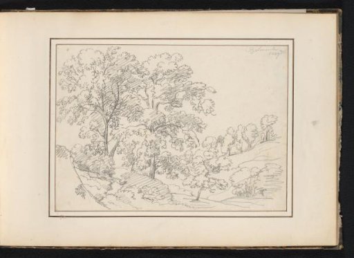 Deciduous trees in a hilly landscape at Belmonte
