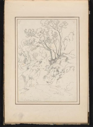 Hilly landscape with trees at Roccantica