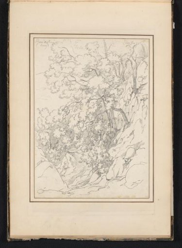 Landscape with rocks and trees at Roccantica