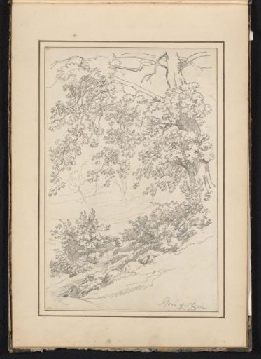 Landscape with trees at Roccantica