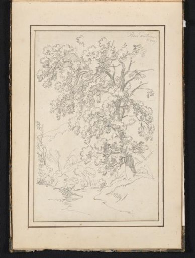 Landscape with a tree at Roccantica