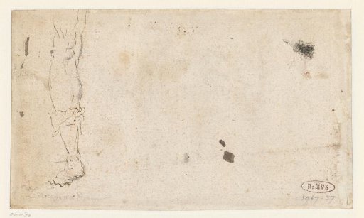 Sketch of a Leg from Just Above the Knee