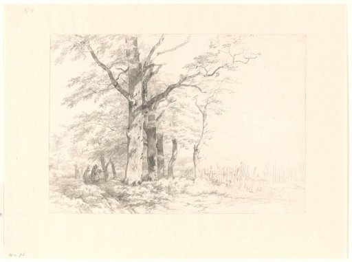 Study of oaks in a landscape
