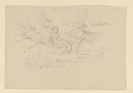 The Grass Princess Surrounded by Dragonflies
