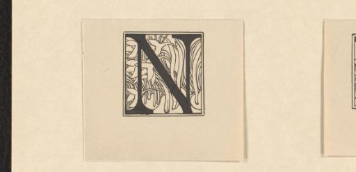 Initial N decorated with snowdrops
